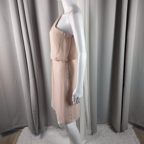Adrianna Papell Pink Chiffon Embellished Cocktail Dress. Size 8 (NWT) - Picture 5 of 14